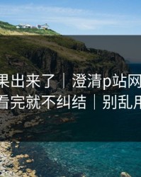 实测结果出来了｜澄清p站网页登录-看完就不纠结｜别乱用