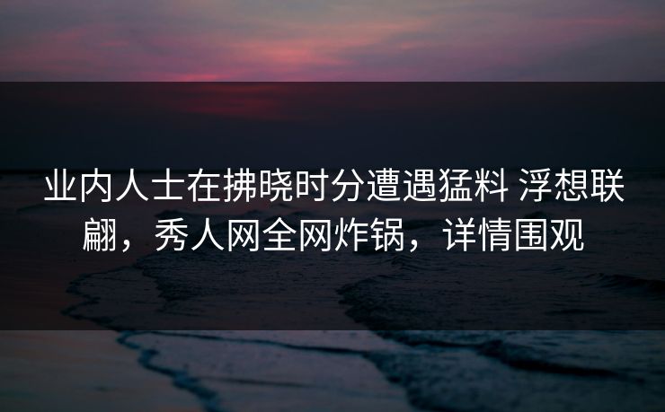 业内人士在拂晓时分遭遇猛料 浮想联翩，秀人网全网炸锅，详情围观