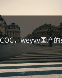YW193.COC，weyvv国产的suv视频