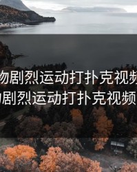 动漫人物剧烈运动打扑克视频，动漫人物剧烈运动打扑克视频大全