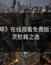 《忘忧草》在线观看免费版：你的心灵慰藉之选